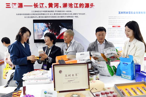 科技引領 創(chuàng)享未來 第二十七屆中國北京國際科技產(chǎn)業(yè)博覽會掠影